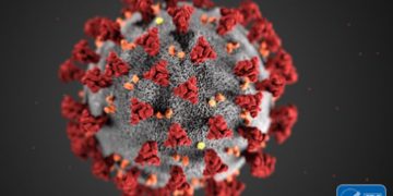 Líderes de ONG: 5 pasos como navegar los desafíos presentados por el Coronavirus.