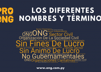 Los diferentes nombres y términos que se utilizan para ONG