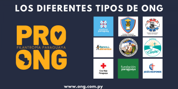 Los diferentes tipos de ONG en Paraguay