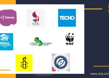 ONG más populares en redes sociales