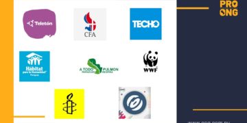 ONG más populares en redes sociales