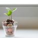 5 Estrategias Efectivas para Recaudar Más Fondos en el 2024 para una Organización sin Fines de Lucro